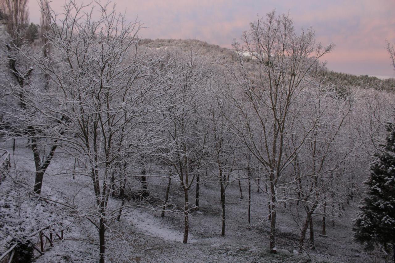 Altra Meta B&B Gubbio Dış mekan fotoğraf